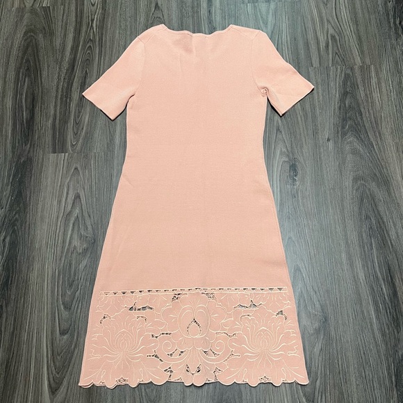 NWT Ann Taylor Dusty Pink Knitted Short Sleeves Embroidered Hem Dress - Picture 3 of 7